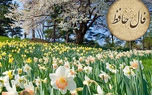 فال حافظ 2 اردیبهشت + فیلم